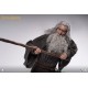 Lord Of The Rings The Fellowship of The Ring Gandalf 1/6 Scale Action Figure